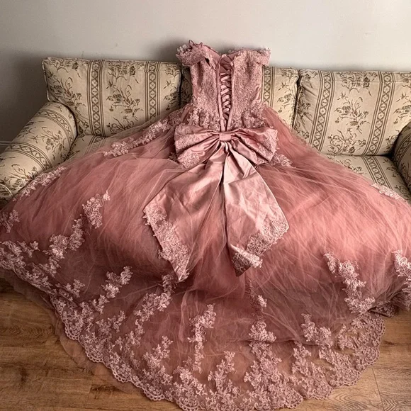 Amazon Dusty Rose Lace Tulle Ball Gown Dress with Bow - Picture 5 of 7